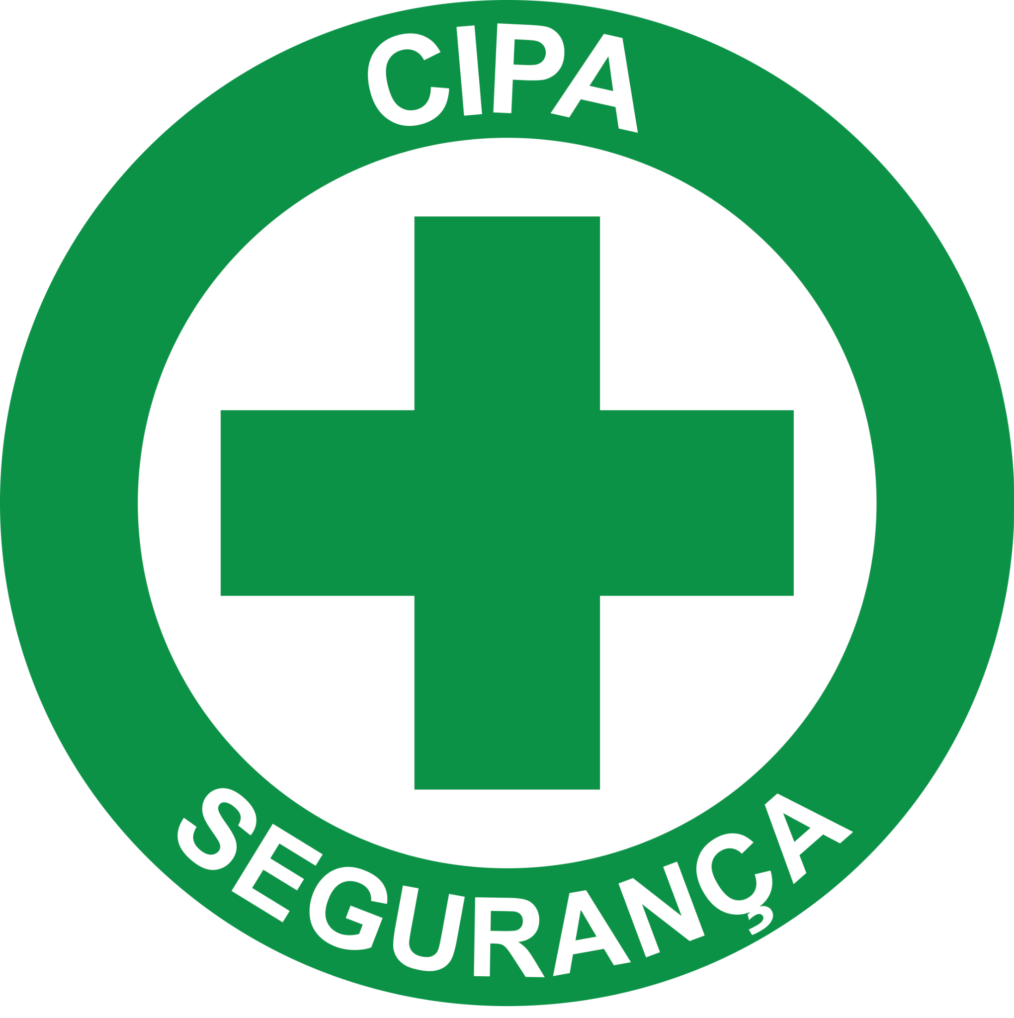 CIPA Segurança